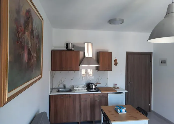 公寓 Olga's Appartments *
